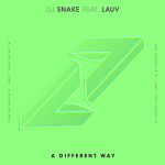 dj_snake_feat_lauv-a_different_way_s.jpg