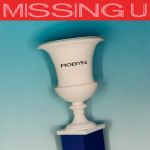 robyn-missing_u_s.jpg