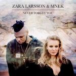 zara_larsson_mnek-never_forget_you_s.jpg