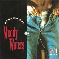Muddy Waters