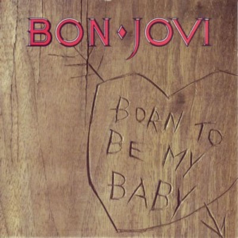 Bon Jovi Born To Be My Baby hitparade.ch Bon Jovi Born To Be My Baby hitparade.ch