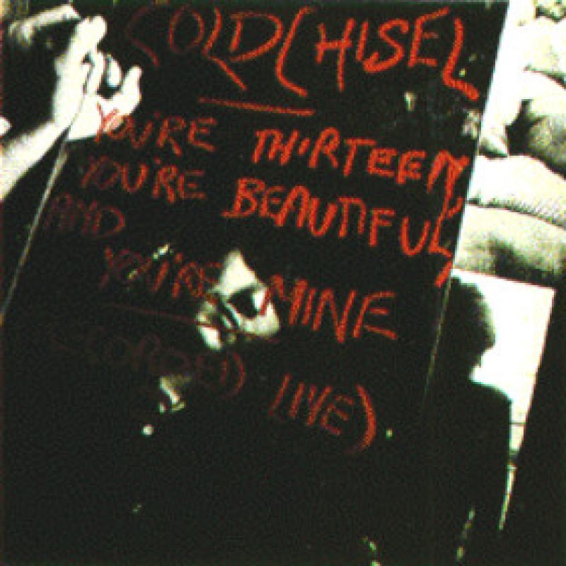 Cold Chisel You're Thirteen, You're Beautiful & You're Mine hitparade.ch