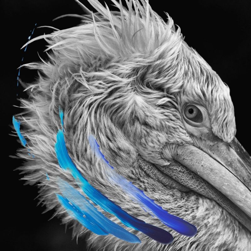 Lies Lies hitparade.ch