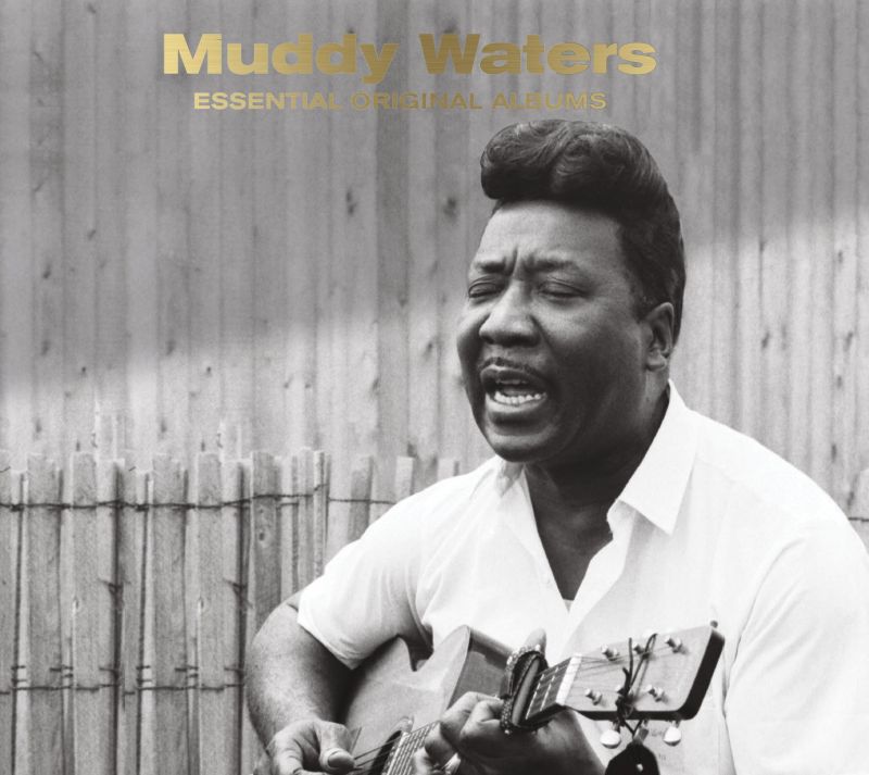 Muddy Waters - Essential Original Albums - hitparade.ch