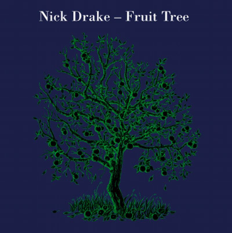 Nick Drake Fruit Tree hitparade.ch