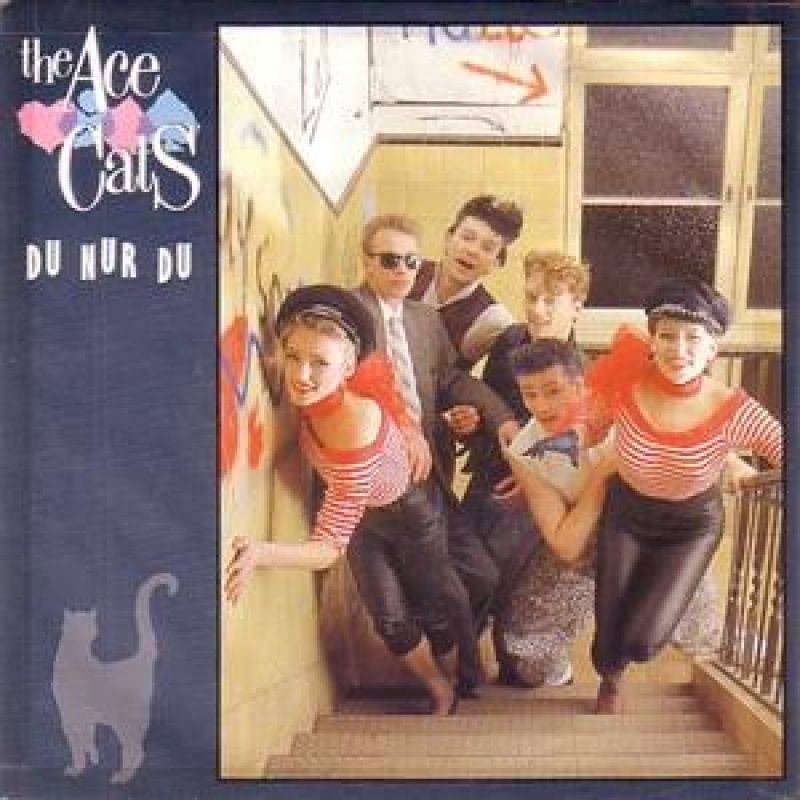 The Ace Cats - Du nur du - hitparade.ch