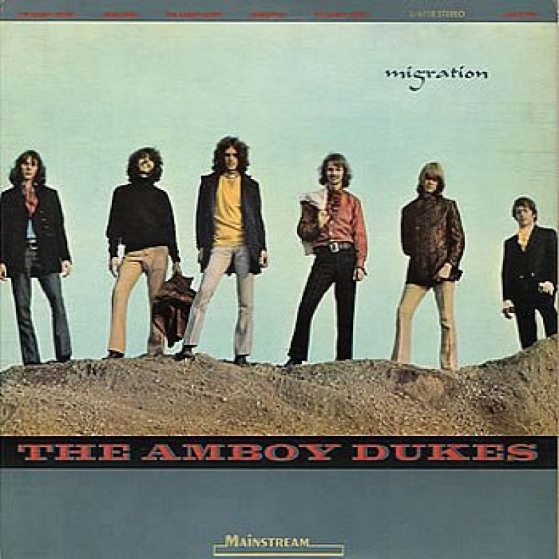 amboy dukes journeys and migrations