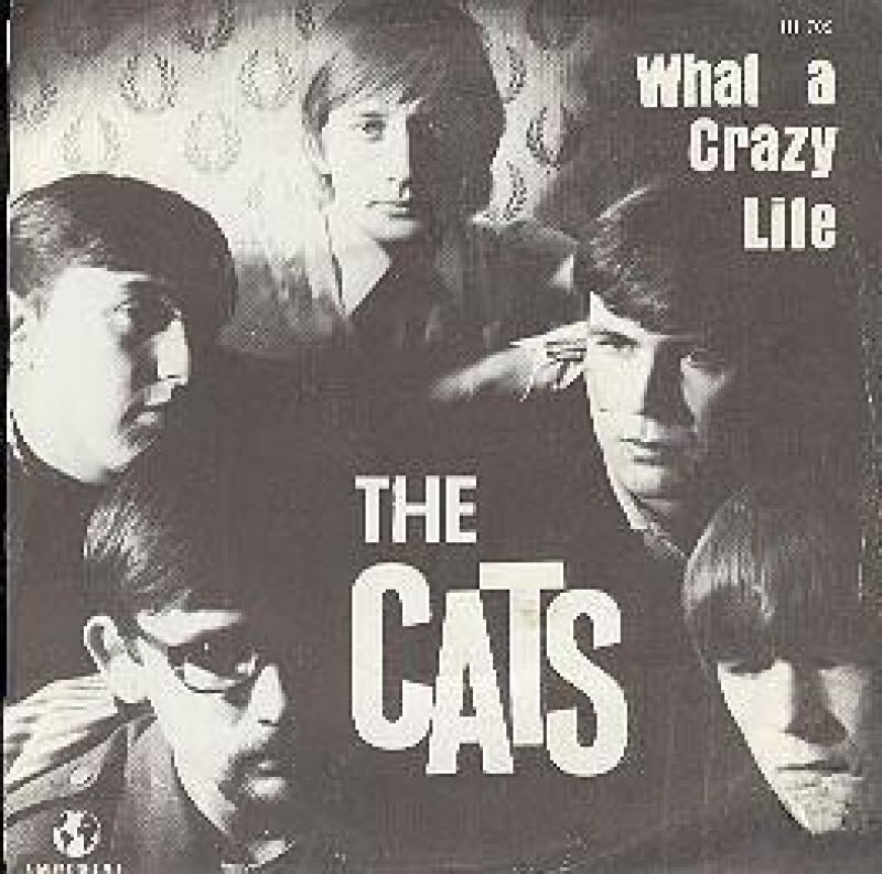 The Cats What A Crazy Life