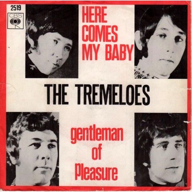 The Tremeloes - Here Comes My Baby - hitparade.ch