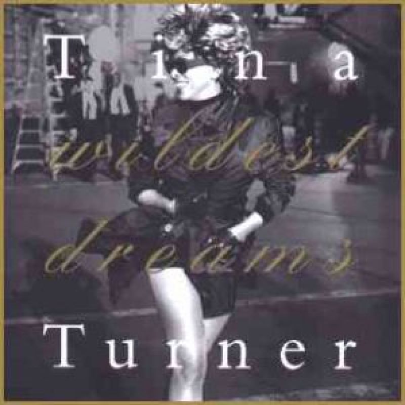 tina turner wildest dreams special tour edition