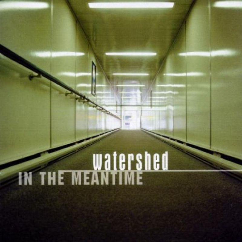 watershed-in-the-meantime-hitparade-ch