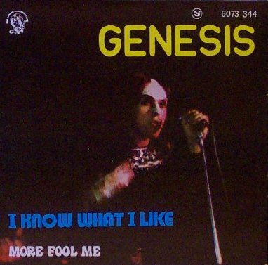 Genesis I Know What I Like In Your Wardrobe Hitparade Ch