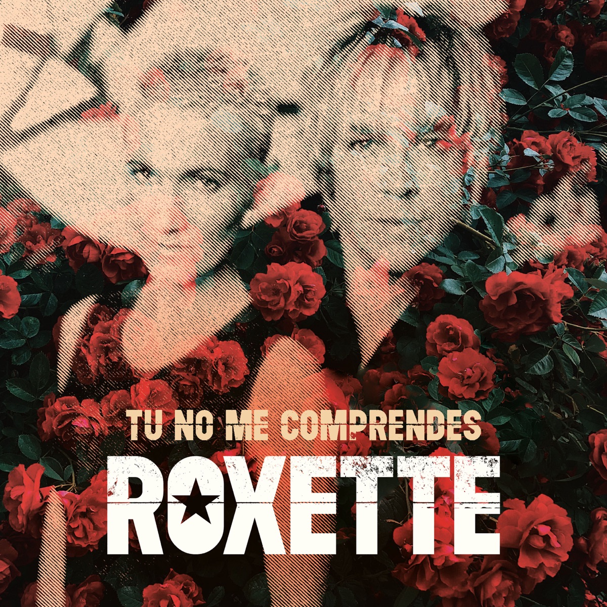 Roxette Tu No Me Comprendes Swisscharts Com roxette tu no me comprendes