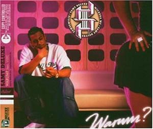 Samy Deluxe Feat Vibe Warum Hitparade Ch samy deluxe feat vibe warum