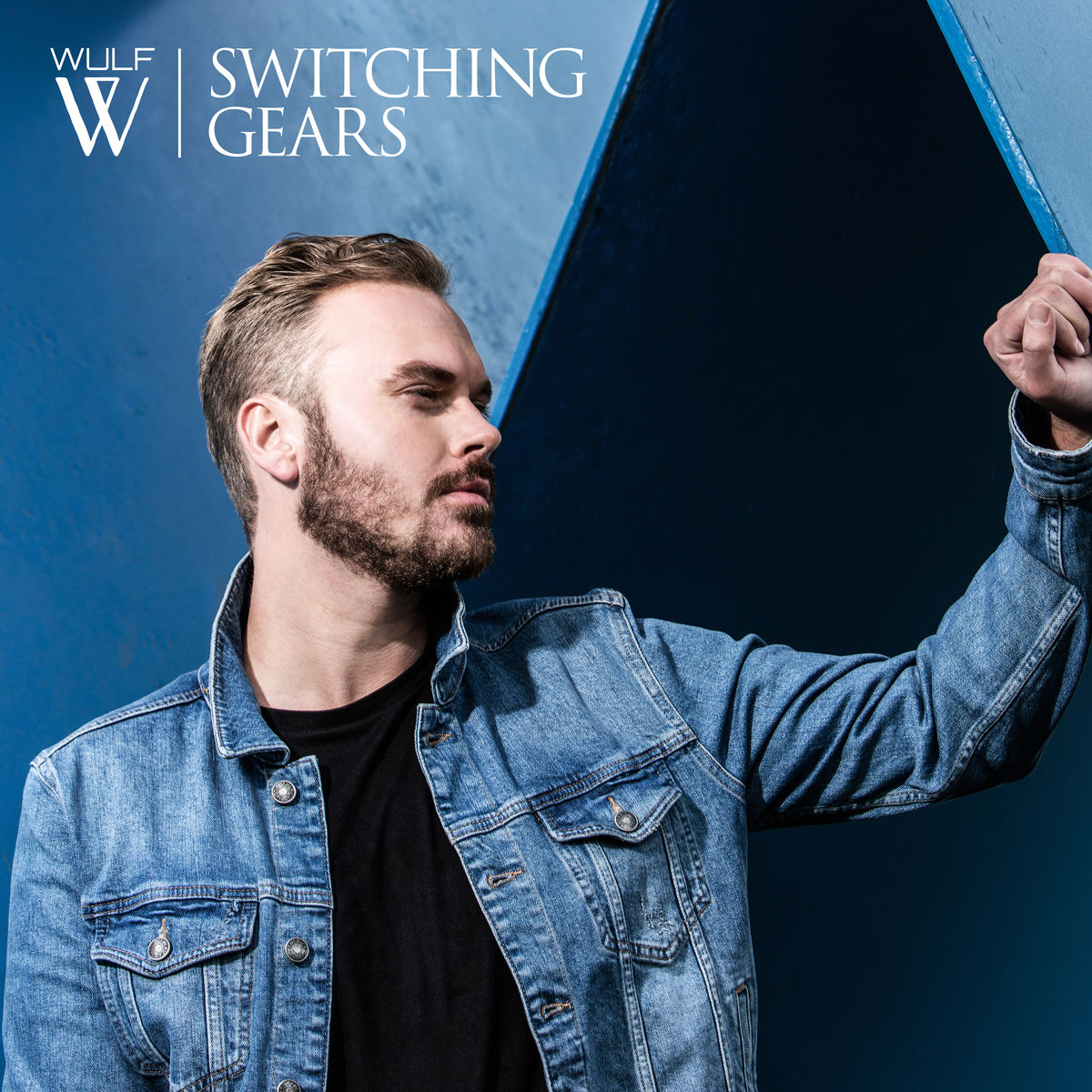 wulf-switching_gears_s.jpg
